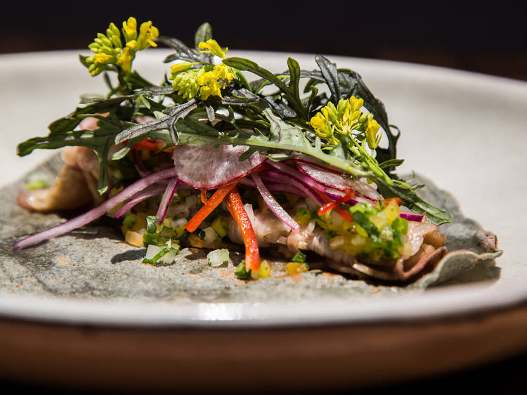 15 platillos emblema de la comida japonesa y dónde probarlos en México