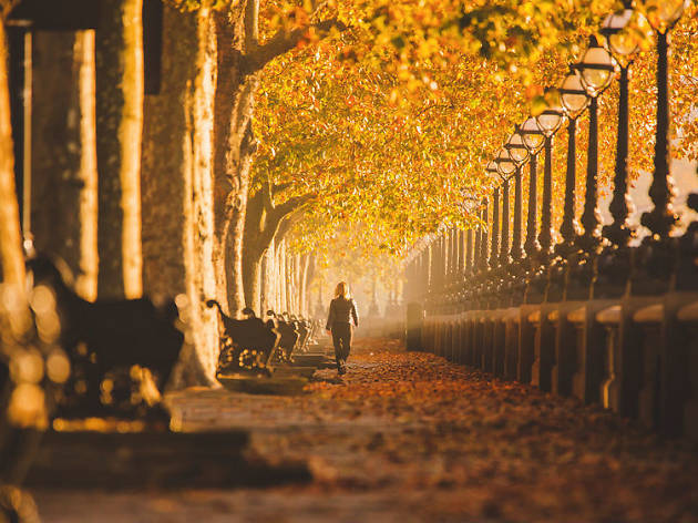 30 wonderful things to do in London this weekend 30 wonderful things to do in London this weekend