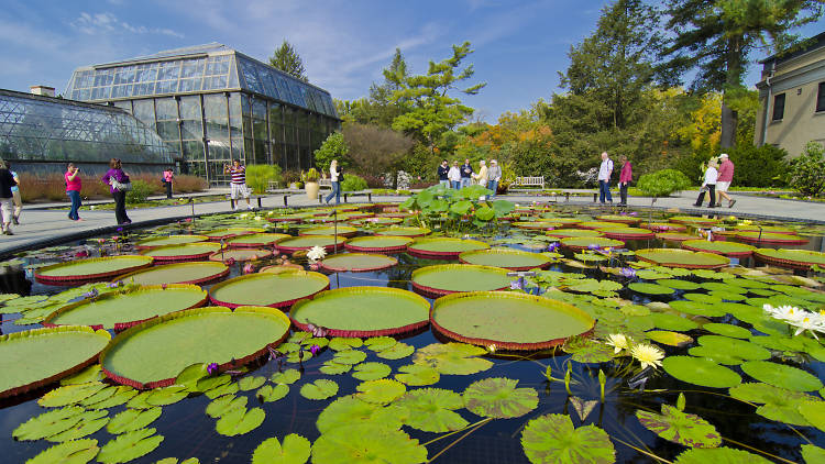 Longwood Gardens