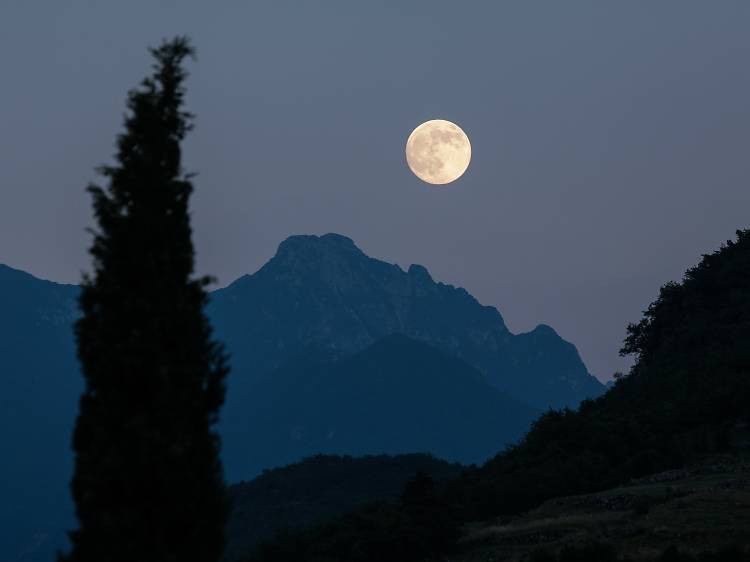 Puja de luna llena 