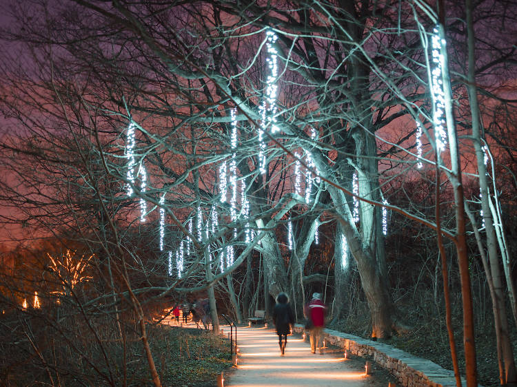Longwood Gardens to launch massive holiday light show