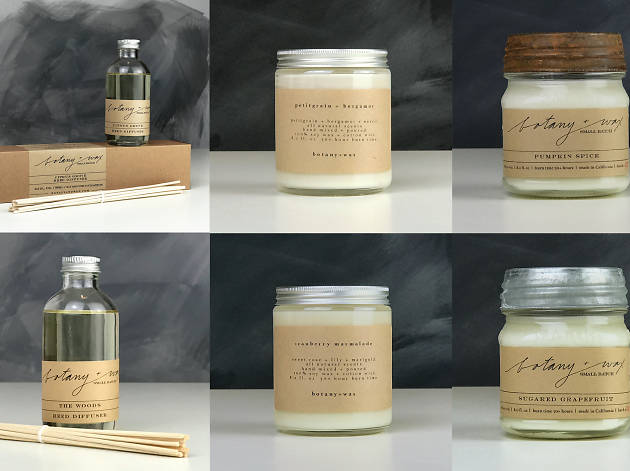 Botany + Wax Botany + Wax