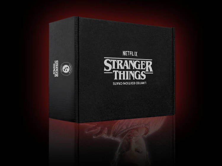 Stranger Things Loot Crate