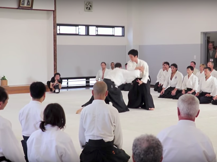 Essential activity: Aikido