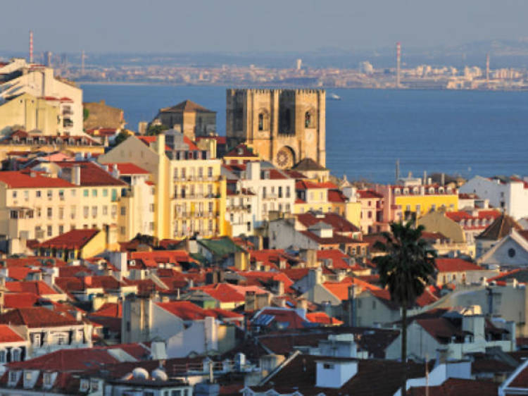 The Lisbon combo: four routes by bus and tram