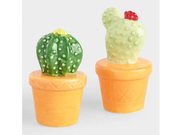 Cactus Salt and Pepper Shakers Cactus Salt and Pepper Shakers