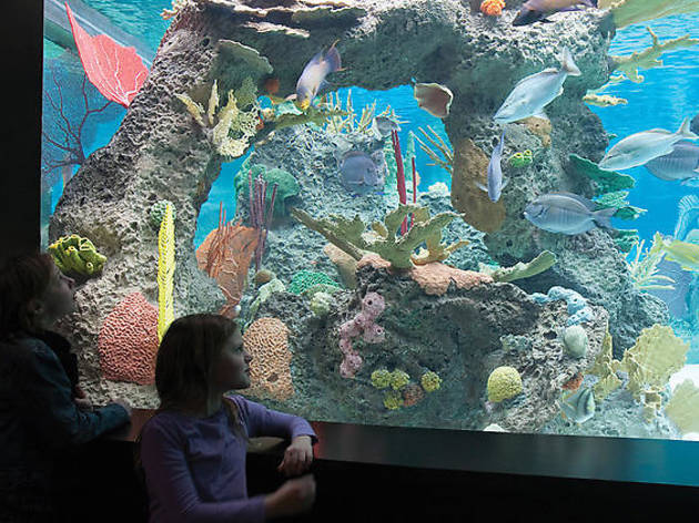 Austin Aquarium Austin Aquarium
