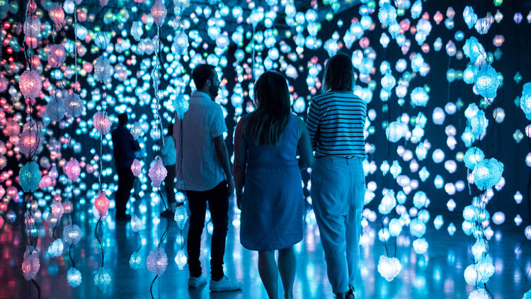 Pipilotti Rist MCA 1 (Photograph: Ken Leanfore)