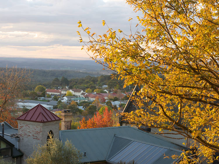 Hot air balloon over Daylesford