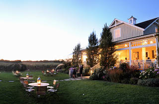 island wineries maier andre courtesy photograph vineyards bedell cellars