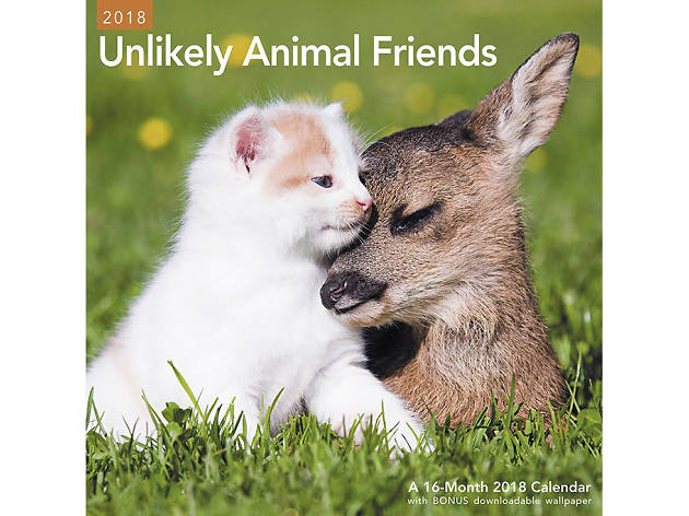 Unlikely Animal Friends calendar Unlikely Animal Friends calendar