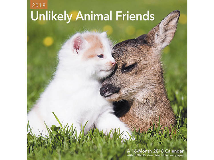 For the animal lover: Mead Unlikely Animal Friends 2018 wall calendar 