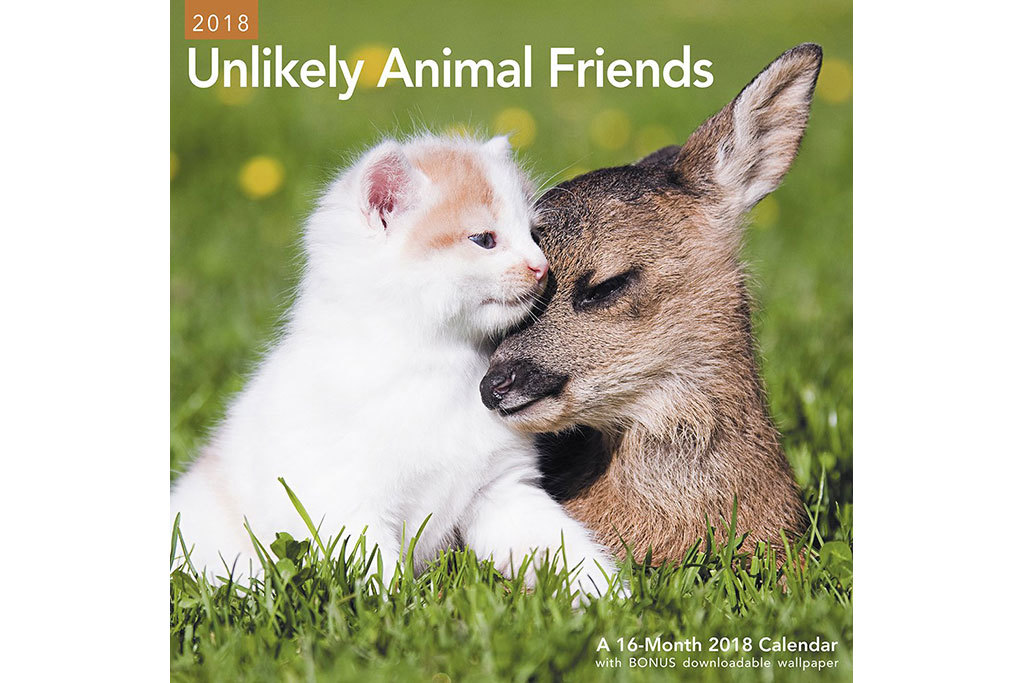 15 Best Secret Santa Gift Ideas For Everyone on Your List