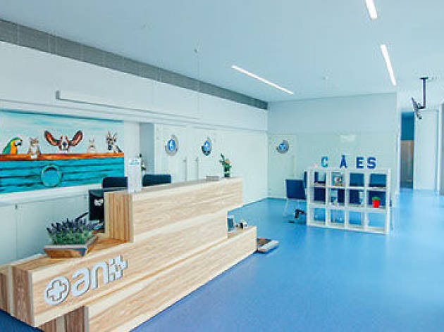 Hospital Veterinário Mais Animais Hospital Veterinário Mais Animais