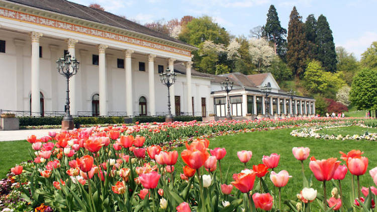 Black Forest and Baden-Baden day trip