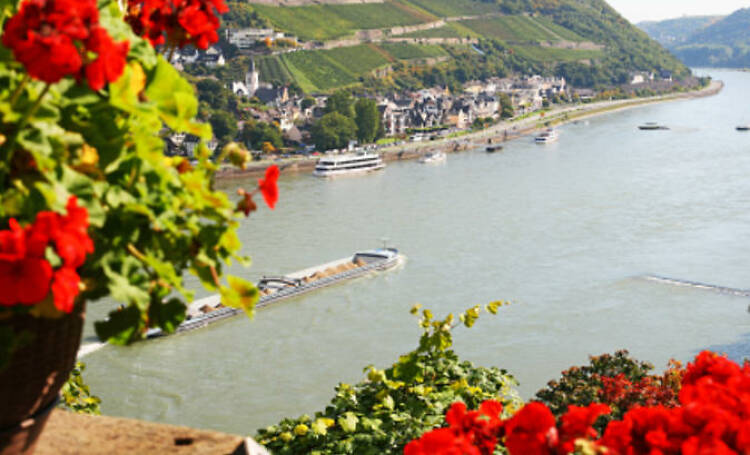 Rhine Valley trip and Rhine River cruise