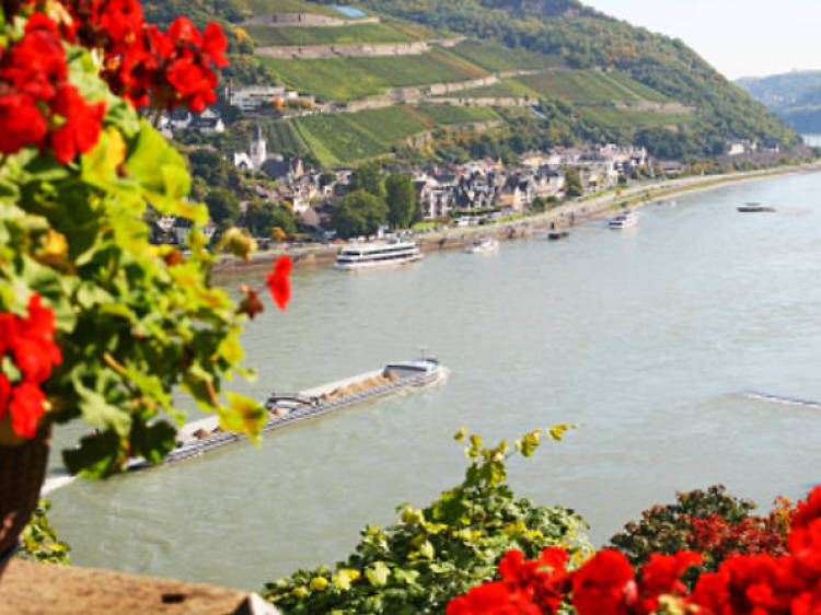 Rhine Valley trip and Rhine River cruise