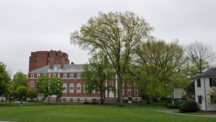 Spend an afternoon with the cooks of yesteryear: Schlesinger Library