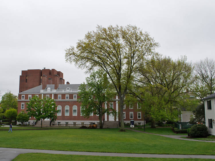 Spend an afternoon with the cooks of yesteryear: Schlesinger Library