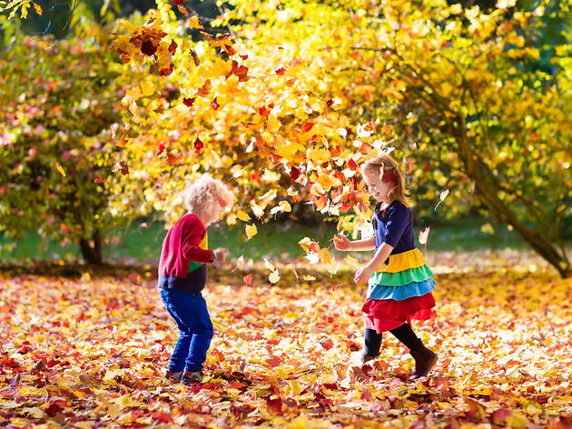 Fall Pictures For Kids 6