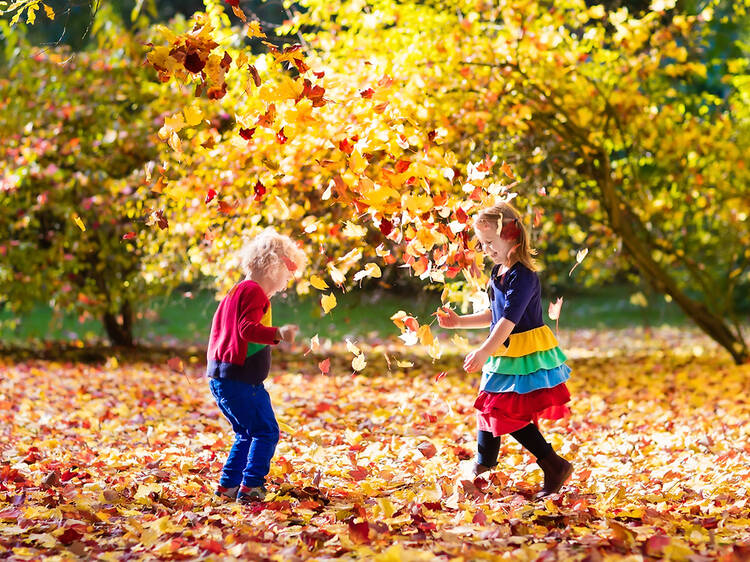 Fall activities for preschoolers