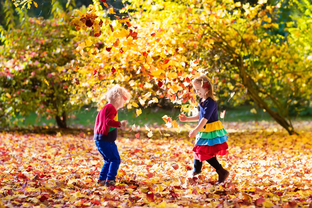 Fun Fall Activities To Do At Home With Kids