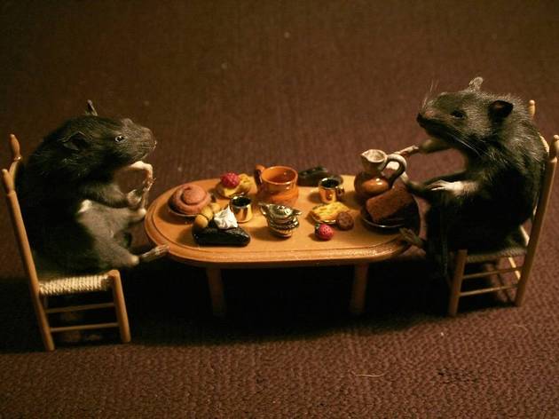 AT_TaxidermyAndTea_press2011.jpg AT_TaxidermyAndTea_press2011.jpg