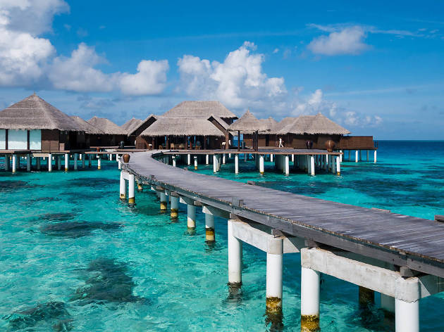 Maldives resort: Coco Palm Bodu Hithi