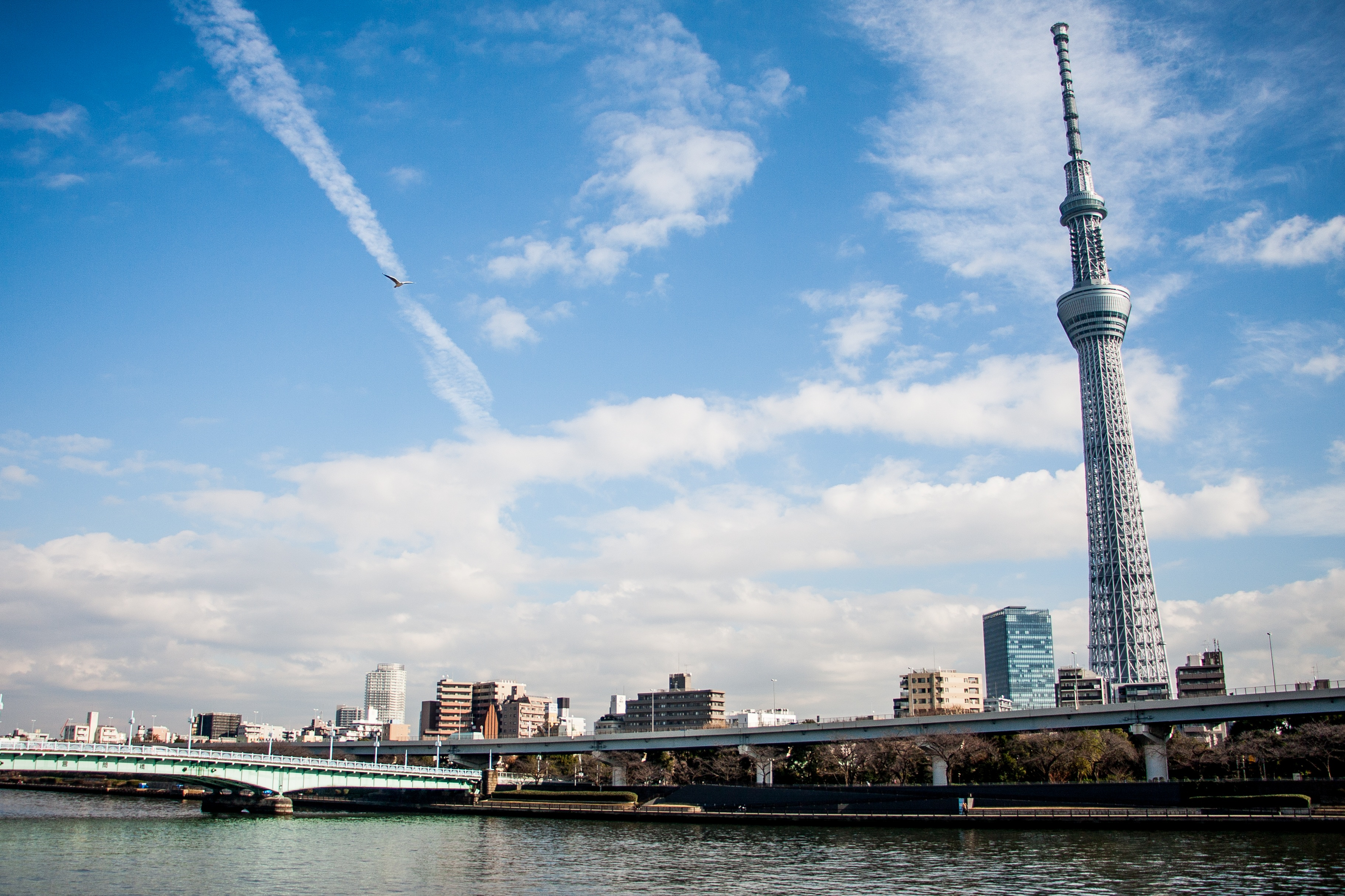The best restaurants and cafés near Tokyo Skytree  Time Out Tokyo