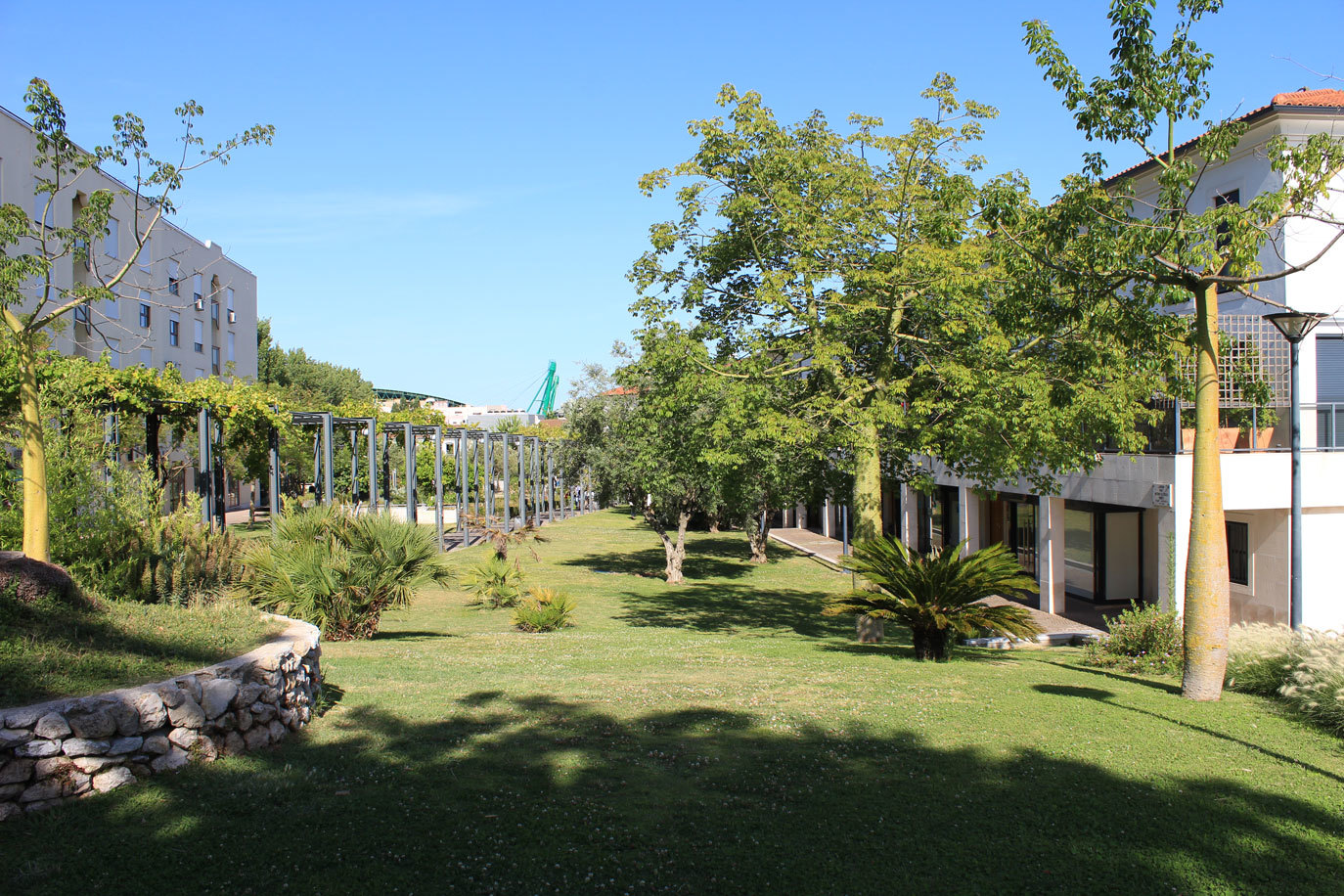 Jardim Prof. António de Sousa Franco