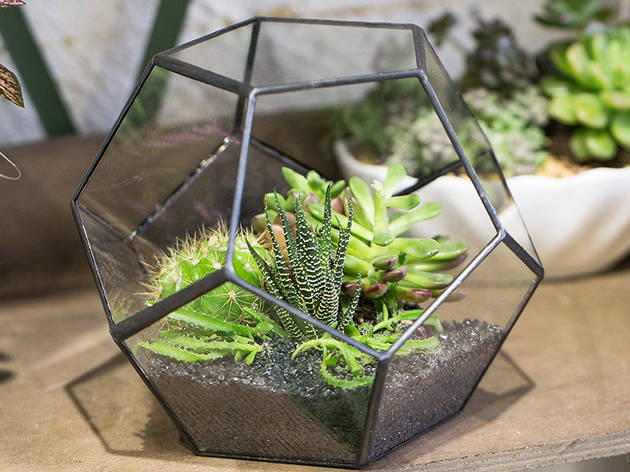 Modern Geometric Terrarium Modern Geometric Terrarium