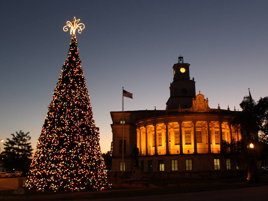 Where to see the most spectacular Christmas lights in Miami