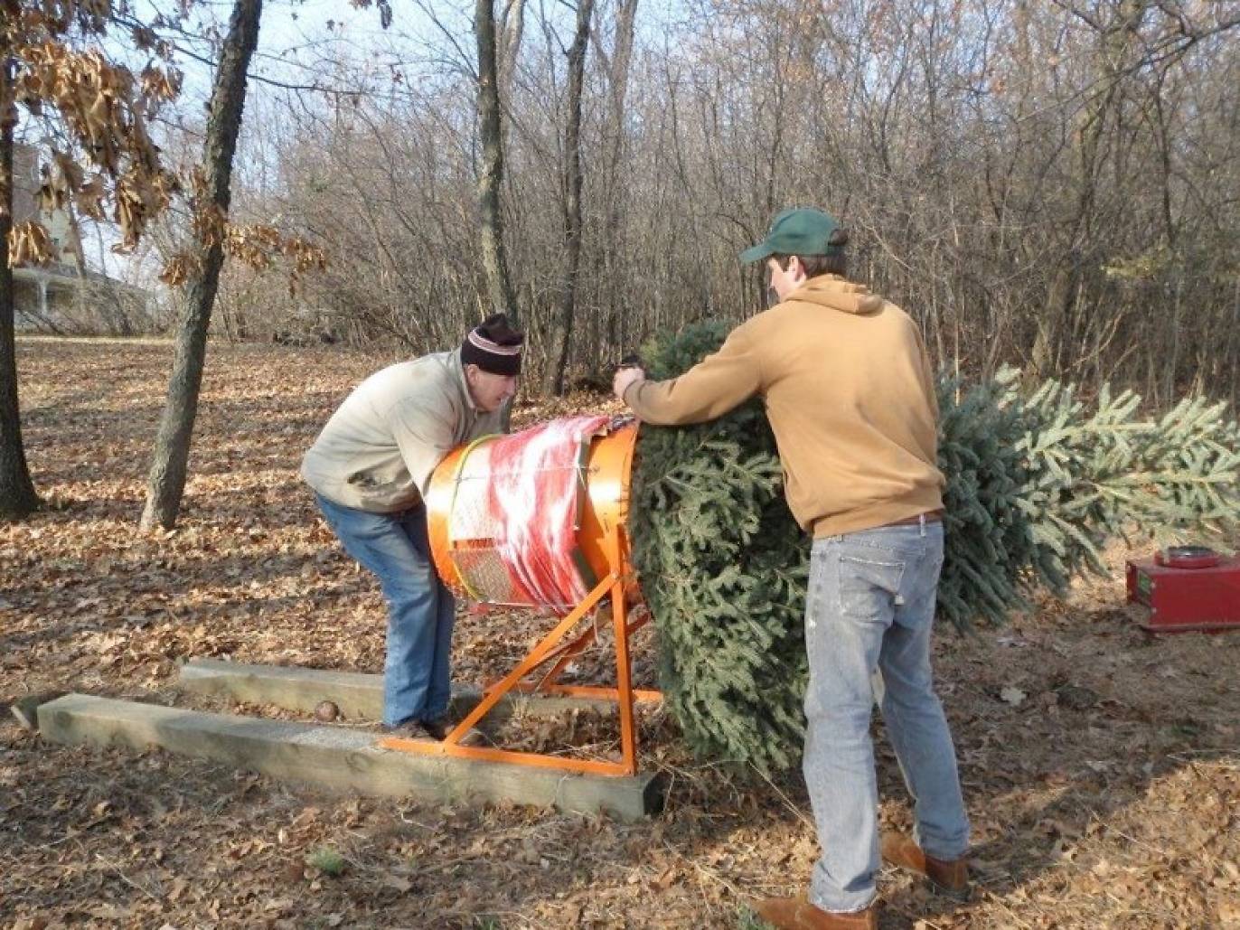 11 Places To Cut Down Your Own Christmas Tree Near Chicago