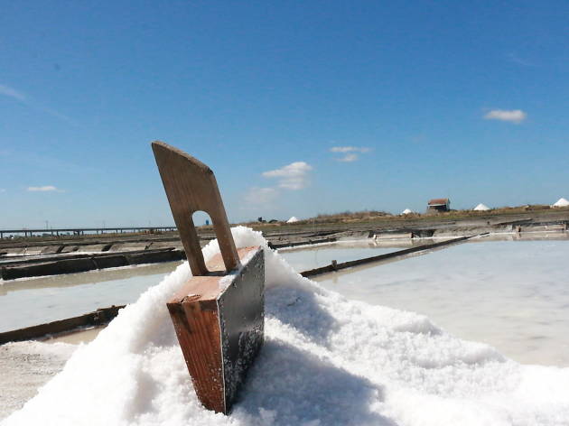 Ecomuseu Marinha da Troncalhada Ecomuseu Marinha da Troncalhada