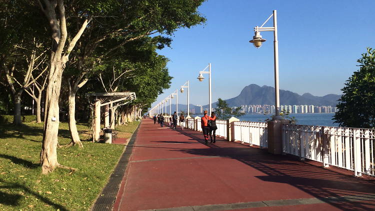 Tai Po Waterfront Park