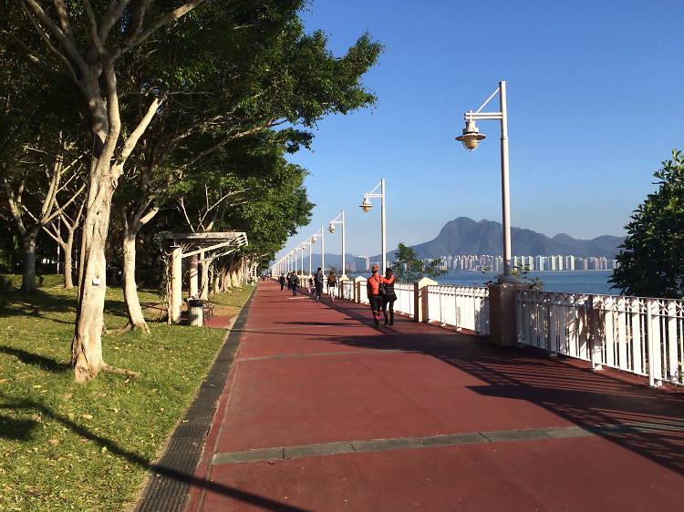 Tai Po Waterfront Park