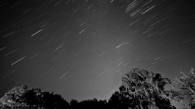 Leonid meteor shower