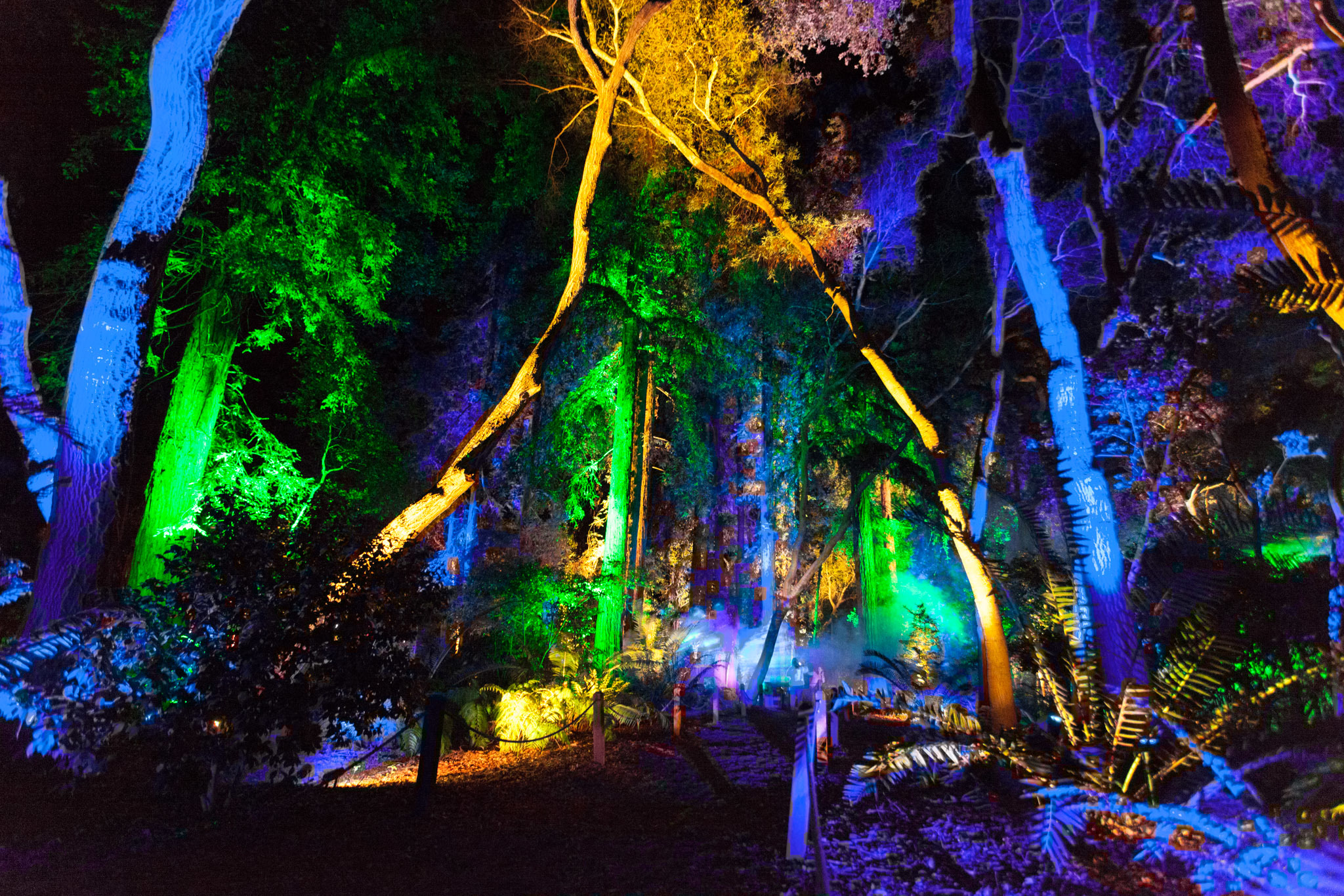 Enchanted Forest of Light returns with even more stunning illuminated