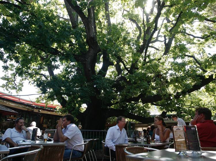 Customers enjoying the outside area at The Oaks Bar