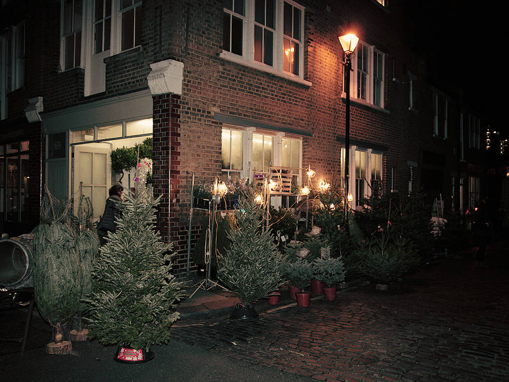 Where to buy Christmas trees in London collection and delivery