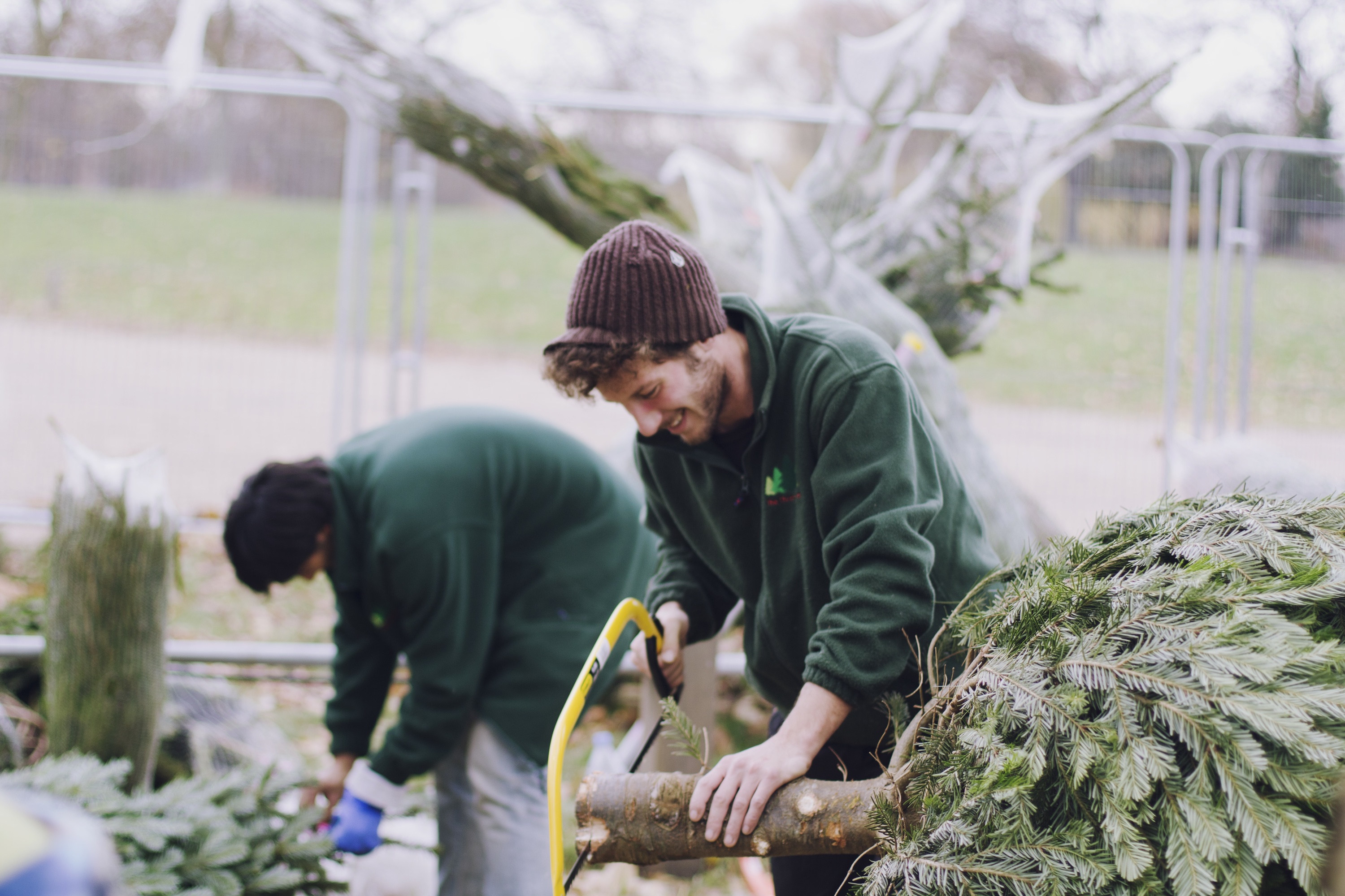 Where to buy Christmas trees in London How to get a Christmas tree