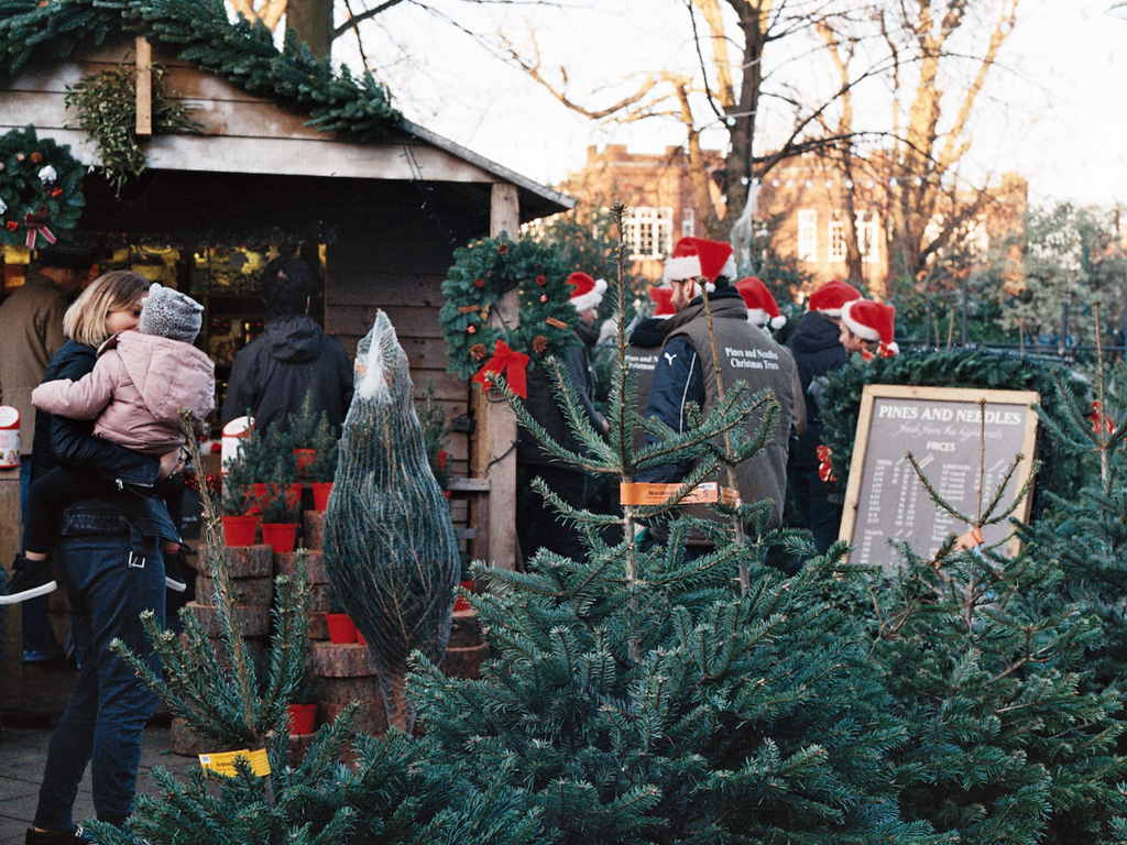 Where to buy Christmas trees in London collection and delivery