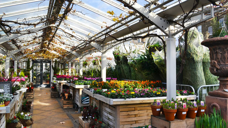 Clifton Nurseries