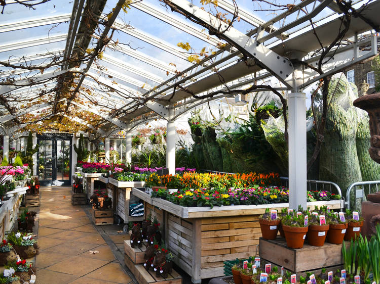 Clifton Nurseries