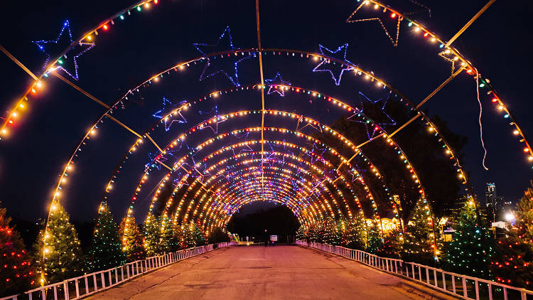 Trail of Lights