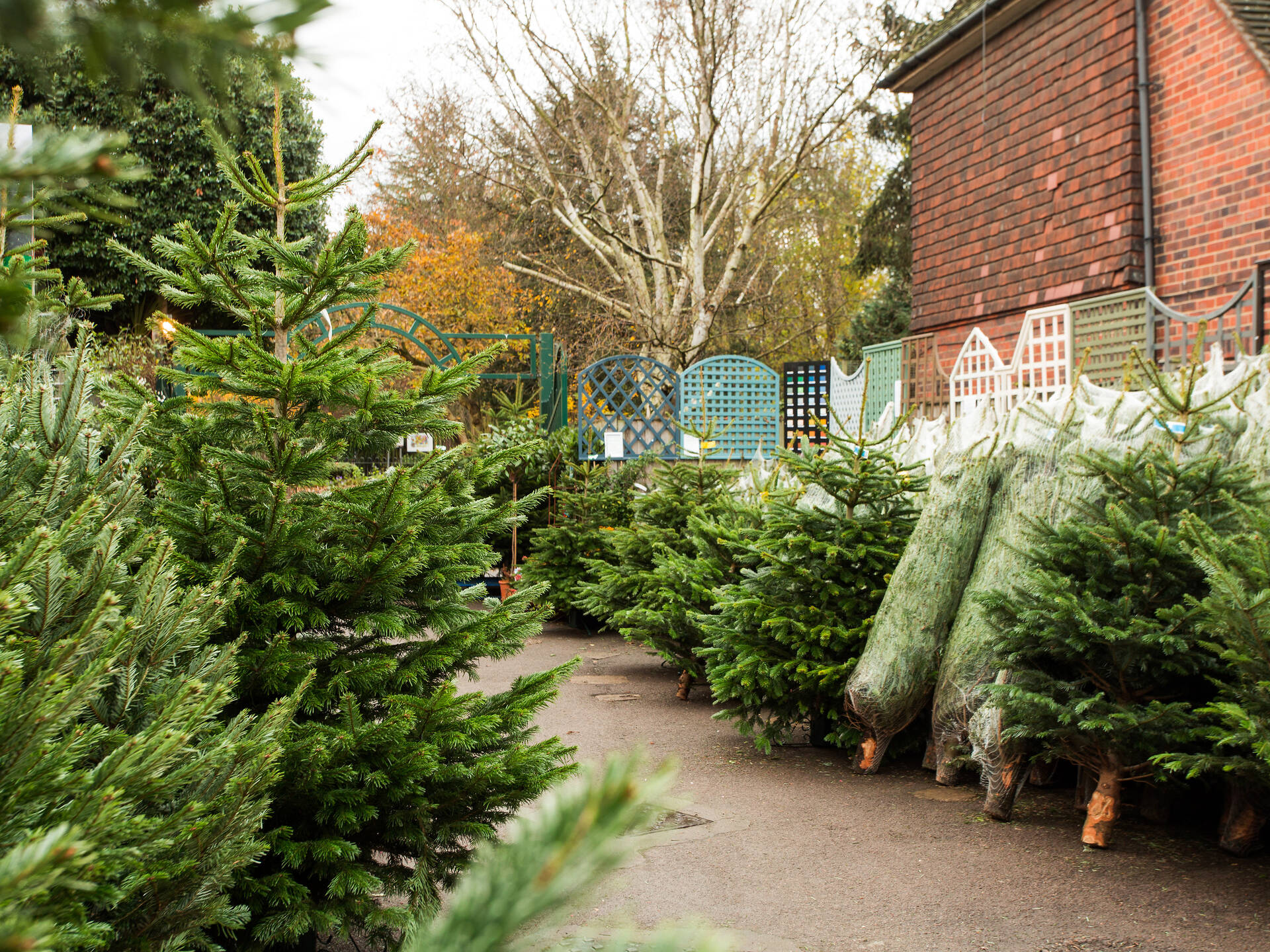 Christmas in London 2024 Festive Events, Activities & Things To Do