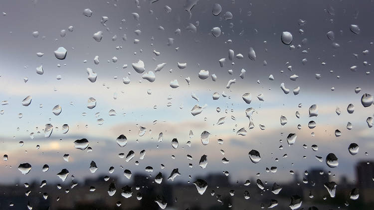 As canções essenciais para dias de chuva