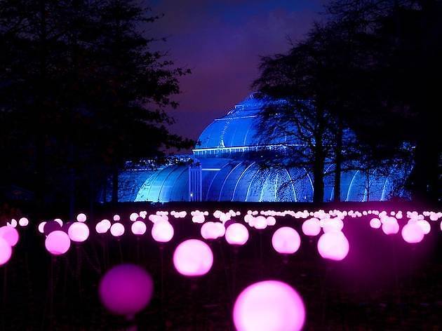 Christmas at Kew 2017