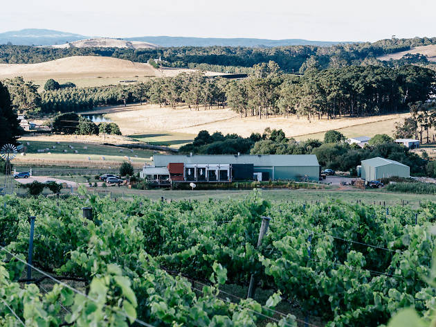 Passing Clouds winery Passing Clouds winery