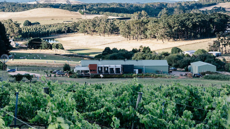 Passing Clouds winery